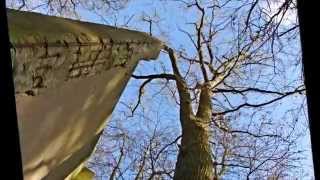 Urbex  Verlassene Orte  Schießstand Schelfwerder [upl. by Nastassia]