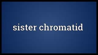 Sister chromatid Meaning [upl. by Aihsenyt]