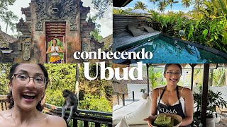 UBUD BALI O que fazer Hotéis Luxuosos Cultura Passeios e mais  Ludmila Sobral [upl. by Marika506]