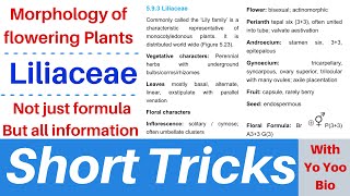 Liliaceae family  Short tricks with yo yoo bio  Morphology of flowering plants  NEET  NCERT [upl. by Robbie914]