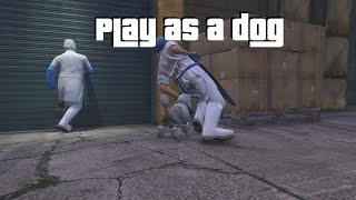 GTA 5  Play as a DOG  Turn into an animal  Peyote 3 [upl. by Kathye886]