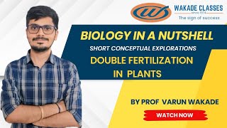 Double Fertilization in plants [upl. by Wylde351]