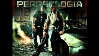 Alexis Y Fido  Donde Estes Llegare Perreologia Reggaeton 2011 Letra [upl. by Gaelan]