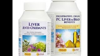 Lessman PC Liver and Brain and Liver AntiOxidants [upl. by Jotham]