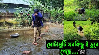 মোটামুটি সবকিছু ই ডুবে গেছে🐄 [upl. by Niotna]