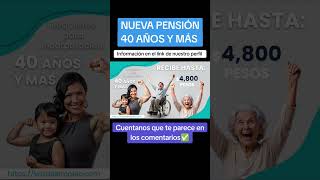 Propuesta de campaña pensión o ayuda económica para personas de 40 años en adelante [upl. by Bertasi]