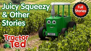 Juicy Squeezy amp Other Tractor Ted Stories 🚜  Tractor Ted Full Episodes Compilation [upl. by Wash765]