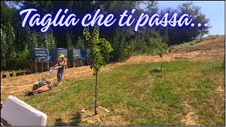 Tagliamo Tutto il Prato del Villaggio Fulltimer [upl. by Elena401]