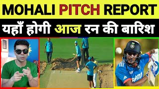 MOHALI PITCH REPORT SHUBMAN GILL APNE GHAR PAR SHATAK LAGAYENGE MOHALI MEI BATTING WICKET [upl. by Verity]