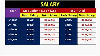 School Teacher Salary  Primary Teacher Salary [upl. by Ephram]