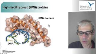 Regulation of gene expression [upl. by Zipnick]