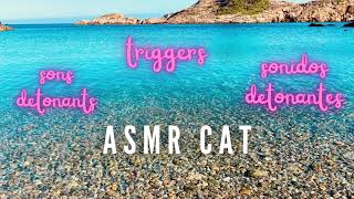 ASMR CAT SONS DETONANTSSONIDOS DETONANTESTRIGGERS RELAXANT I ESPONTANI [upl. by Stockmon684]