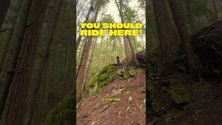 One of the gnarliest North Shore trails [upl. by Auqinimod]