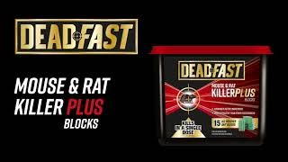 How to use Deadfast Mouse amp Rat Killer Plus Blocks [upl. by Haroldson636]