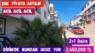 Satıldı Satıldı 🙏🙏🙏🙏🙏 [upl. by Swan]