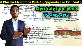 What is Cell Coat or Glycocalyx  Plasma Membrane Part5  BSc first Year  MSc  PGT  NEET [upl. by Eillod]