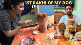 First RakHI oF mY DOG gone wrong [upl. by Mozelle540]