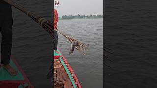 boat fishing video  part80 shorts fishing viral shortvideo viralvideo fish reels amazing [upl. by Mindi808]