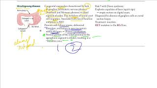 Hirschsprung Disease  USMLE STEP 1 [upl. by Metah235]