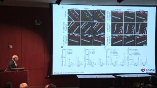 The Cardiac Sympathetic Afferent Reflex in Heart Failure [upl. by Ahsimit]