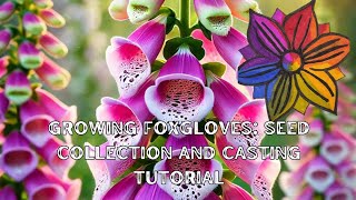 Growing Foxgloves Seed Collection and Casting Tutorial [upl. by Valerle]