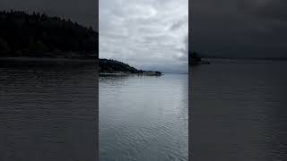 ⛴️First Car Ferry Experience  Fauntleroy Ferry 🚗 [upl. by Niles36]