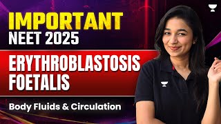 Erythroblastosis Foetalis  Body Fluids and Circulation Class 11  Important Topics NEET  NEET 2025 [upl. by Saihttam]