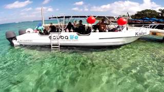 Discover the Scuba Life in Cozumel [upl. by Eilahs]