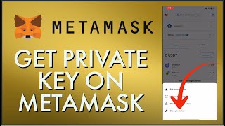 How To Get Your Private Key on MetaMask Account 2024 [upl. by Stoecker]