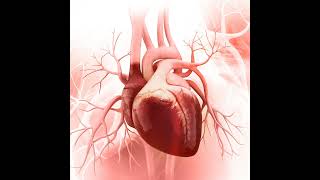 Right Ventricular Heart Failure [upl. by Sheff57]