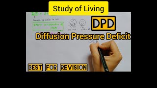 DPD Diffusion Pressure Deficit  Simplified Explanation  Best for Revision [upl. by Ayle]