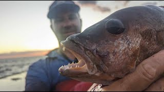 Rock Fishing  Quobba Station  Mixed Bait fishing 2024  Landbased fishing  fishing fish [upl. by Everett]