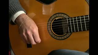 How to play rumba in 30 seconds  flamenco guitar [upl. by Haidabo]