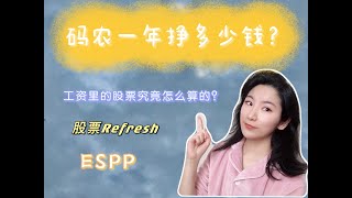 美国码农一年挣多少钱？程序员股票怎么算？股票Refresh  ESPP  Employee Stock Purchase Plan  Stock Grant  Stock Vesting [upl. by Crawley1]