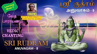 RUDRAM  ANUVAGAM  8  Learning Mode [upl. by Legra]