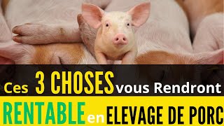 3 Choses à SAVOIR sur l ELEVAGE des PORCS GAGNEZ FACILEMENT avec les PORCS en AFRIQUE [upl. by Josefa]