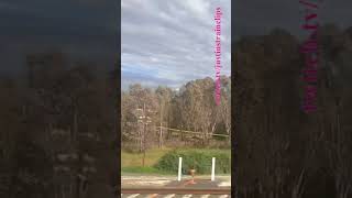 VLINE Southern Cross To Albury NSW 121124 victoria shorts shortvideo train travel views [upl. by Pulchi]