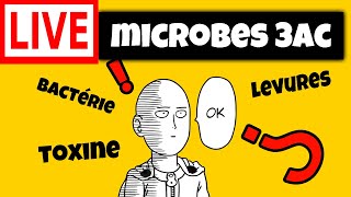 les microbes 3ème année collège explication live [upl. by Ngo886]