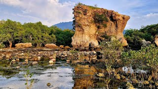 Perfectos Campsite  Lian Batangas  Vanlife Philippines  FilAmstagram  youtubeshorts [upl. by Sachiko358]