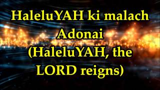 MJAI  Hallelujah Ki Malach Eloheinu  Lyrics and Translation [upl. by Trisa612]