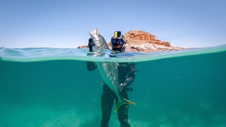 The Beginners Guide to Spearfishing 5 Secrets I Wish I Knew [upl. by Lashoh]