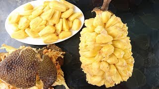 Amazing Jackfruit Cutting Skills  Amazing Way To Open a Big Jackfruit  How To Cut a jackfruit [upl. by Anialram]