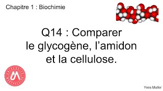 Chapitre 1  Biochimie  Q14  Comparer le glycogène lamidon et la cellulose [upl. by Atiker]