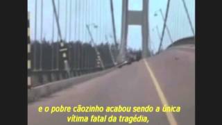 Colapso  Ponte Tacoma Narrows 1940 [upl. by Attikram]