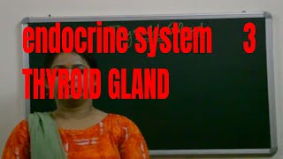 Thyroid Gland BIOLOGY  ICSE CBSE Board Exams [upl. by Rehpotsirc]