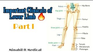 Clinicals of Lower Limb  Complete Clinicals Part 1 [upl. by Sven709]