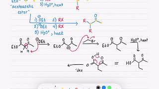 225 Acetoacetic Ester Synthesis [upl. by Ferdinana]