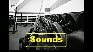 Gym Weight Sound Effects All Sounds [upl. by Nivled288]