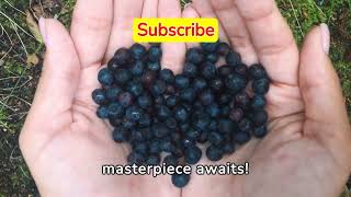 HYDROPONIC SYSTEM  Hydroponic Blueberries Farming At Home hydroponicsystem hydroponicblueberries [upl. by Radburn]