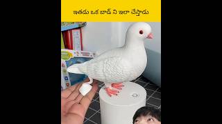 Ethadu oka bird ni cheyathadu facts telugu amazingfacts [upl. by Ymmot101]